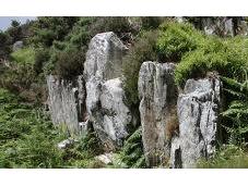 Découverte l'origine précise certaines pierres Stonehenge