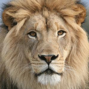 Liberté : le point de vue du 