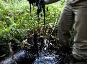 Equateur Chevron condamné payer amende milliards dollars