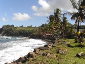 Les Antilles : Partez en Voyage à la Martinique