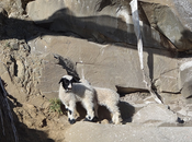 habitudes bonheur -Tibet octobre 2011