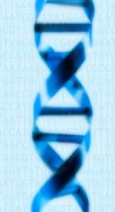 LONGÉVITÉ: 2 supercentenaires livrent leurs secrets génétiques à la science  – Frontiers in Genetics