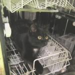 De vraies bonnes résolutions pour la nouvelle année