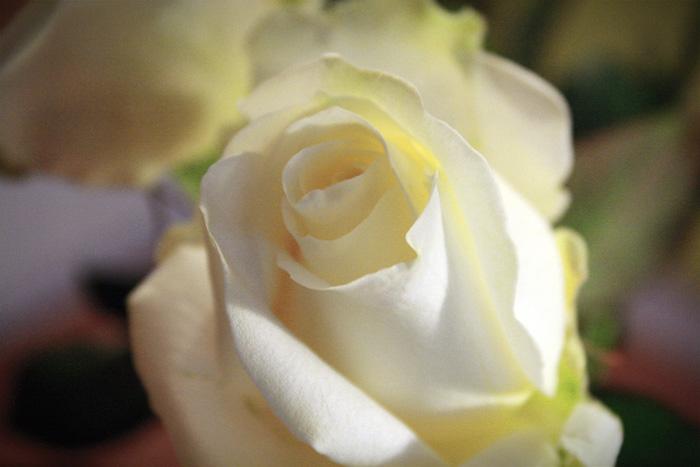 Des coussins à pois