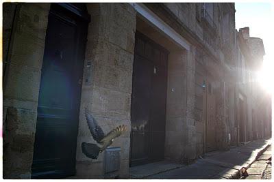 les trésors quotidiens