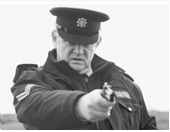 L'Irlandais Revue culturelle et littéraire les lettres françaises