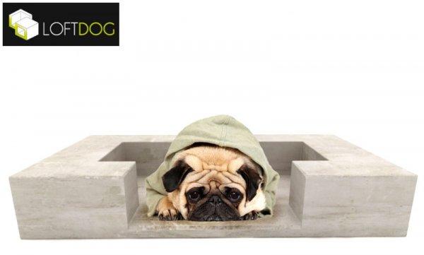 Tout pour mon toutou !