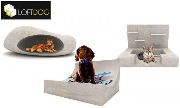 Tout pour mon toutou !