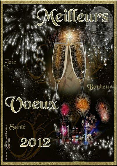 carte-bonne-annee-2012-meilleurs-voeux-2012-25-d-clics-disa