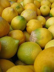 Vitamine C, comme Citron !