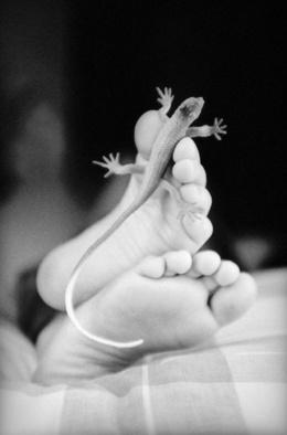 Vacances exclusives aux frais du contribuable