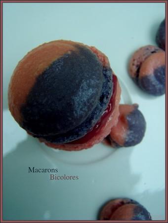 macaronsbicolores1