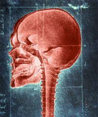 aladygma.com et k3654s.com