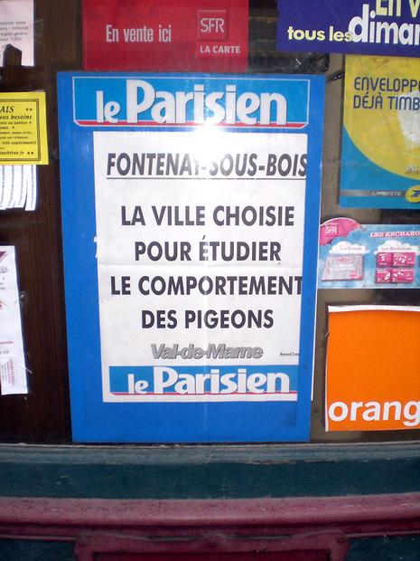 parisien-pigeon-2.1204881985.jpg