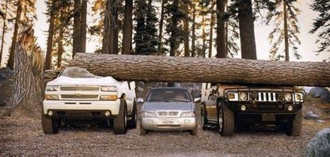 photo humour insolite 4x4 voiture tronc arbre