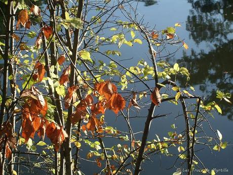 Bilan 2011 - 2ème partie : Projet photo 52