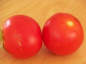 duo de tomate