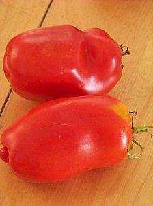 tomate poivron