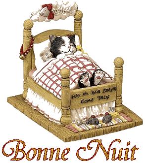 chat-au-lit-bonne-nuit5-138b76.gif