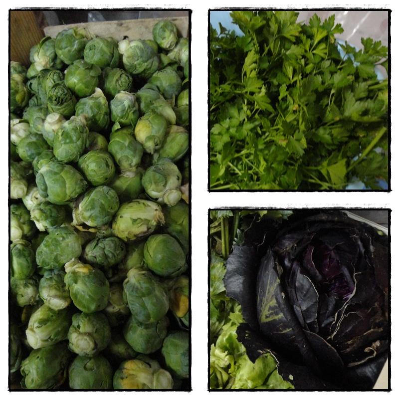 Le retour de la motte, 5 janvier 2011