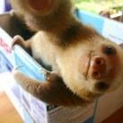 thumbs animaux fun 2012 5020 Animaux fun du Jour (37 photos)