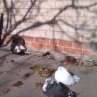 thumbs animaux fun 2012 5036 Animaux fun du Jour (37 photos)