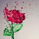 thumbs photos insolites 048 Images Insolites du Jour (48 photos)