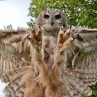 thumbs photos insolites 038 Images Insolites du Jour (48 photos)