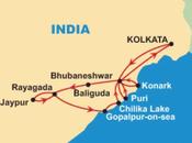 Konark (déc 91). temple soleil