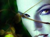 Nigthshade, tome Andrea Cremer