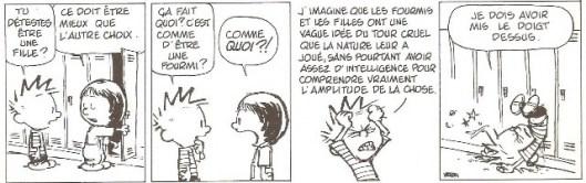 Calvin et Hobbes (Watterson)