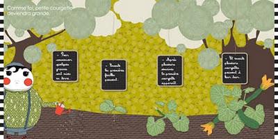 La courgette - Le potager d'Emile