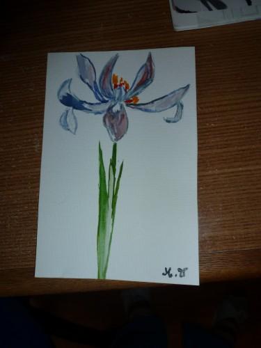 25 décembre 2011 013.jpg