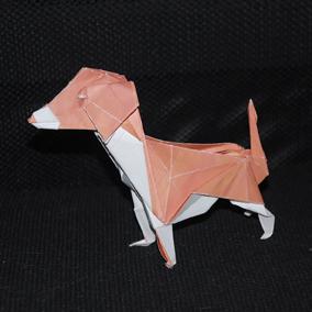 origami de chien réalisé par Samuel Mandonnaud