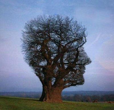 Humains, trop humains…