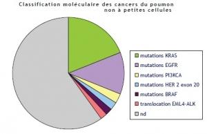 CANCER: 28 plateformes et 60 tests génétiques à disposition des patients – Institut National du Cancer