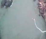 vidéo saut élastique chutes victoria zimbabwé rivière