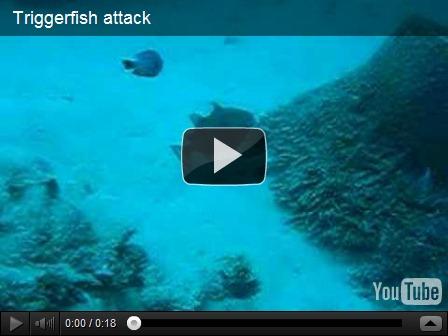 Boulet is in da Lab! 2/2