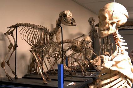 Le comité d'accueil , Photo: Marion Sabourdy