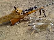 aussi leurs idées....