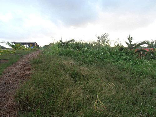 démarrage maison 003