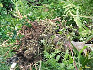 démarrage maison 006