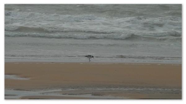 Première balade de 2012