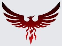 Sortir de sa zone de confort