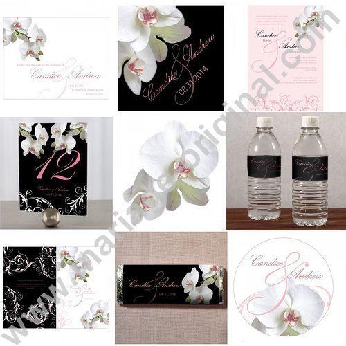 Collections de cartes et stickers orchidées noirs