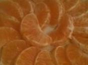 Gratin clementines