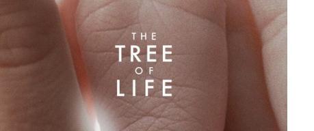 The tree of life ok