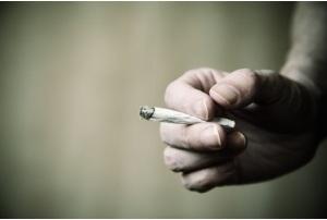 CANNABIS: Fumer avec modération ne nuit pas aux poumons – JAMA