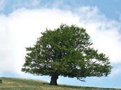 Edwin 2012 collection lookbook