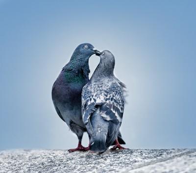 Divers : faisons vivre nos photos !